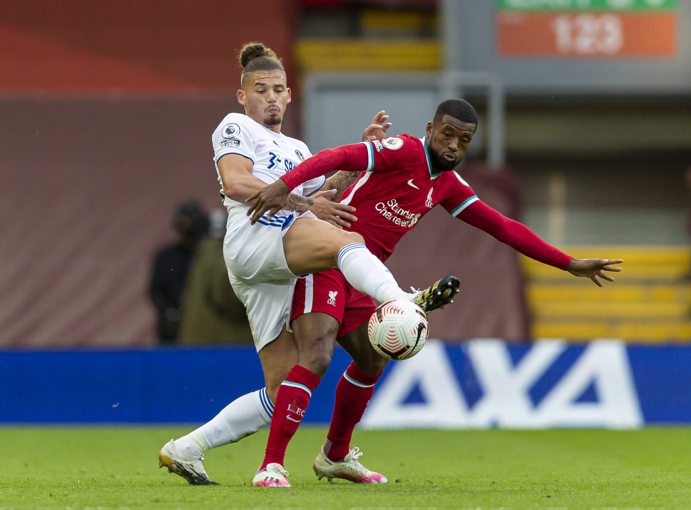 佩莱格里尼 佩莱格里尼
